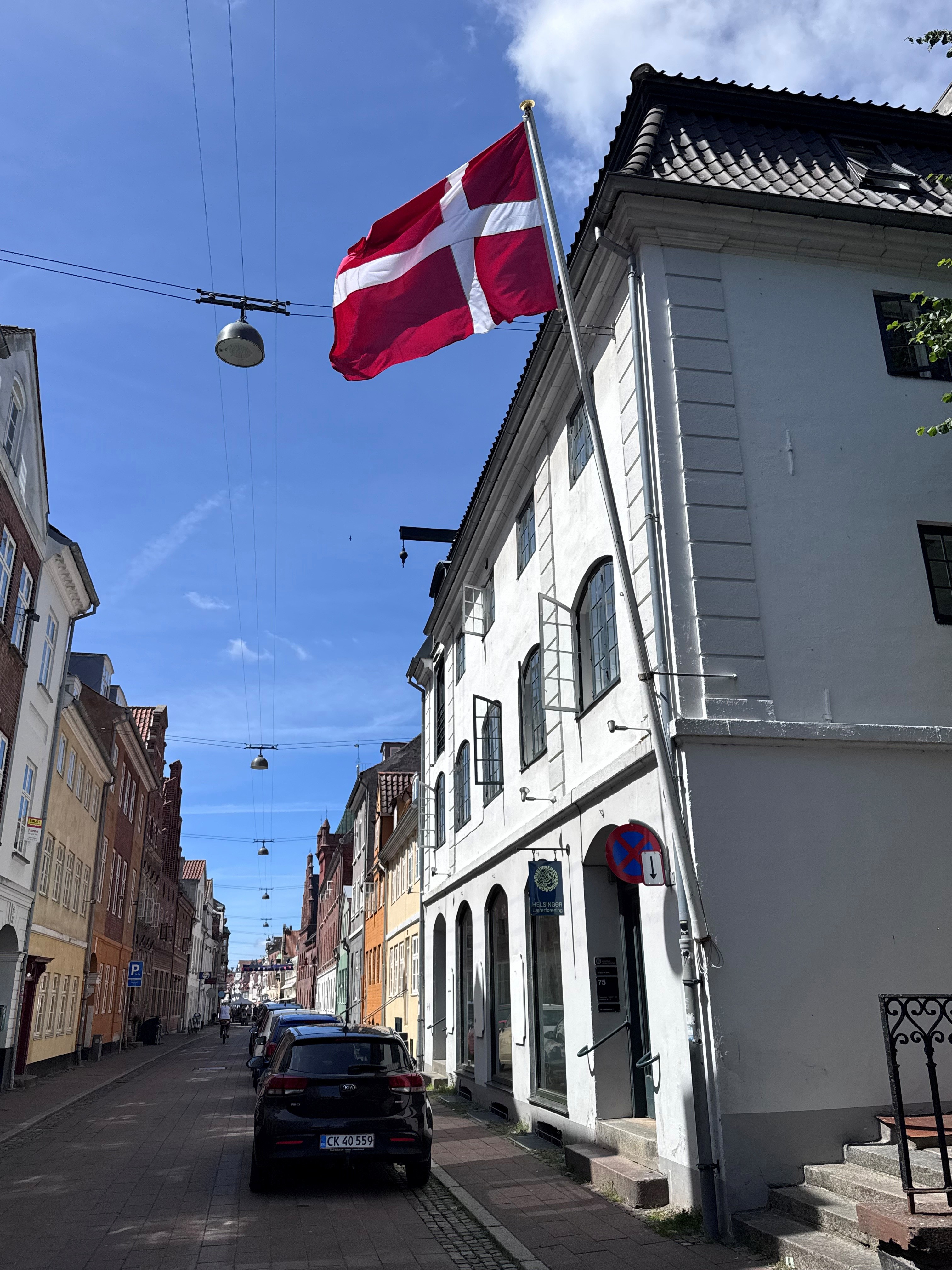 flag og kreds.jpg